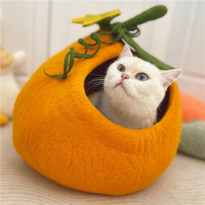 Cat Litter